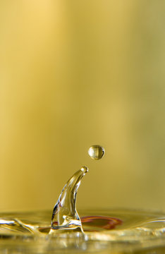 goldensidedrop