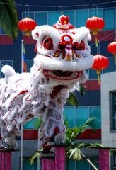 Chinese lion dance