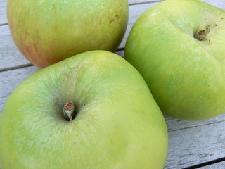 bramley apples
