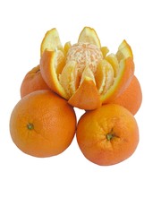 sweet oranges