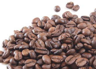 coffe beans on white background