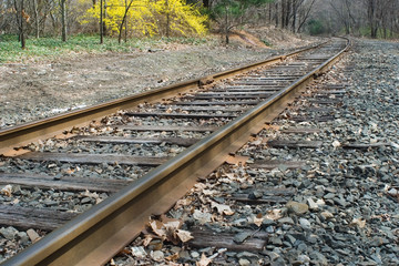 Naklejka premium railroad track