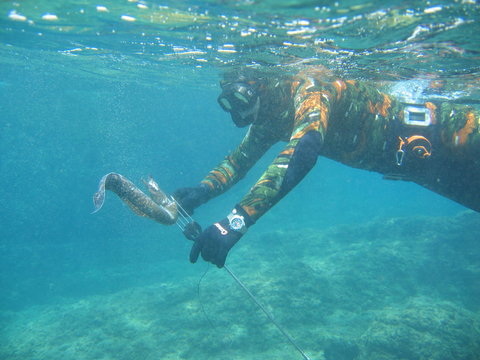 caccia subacquea
