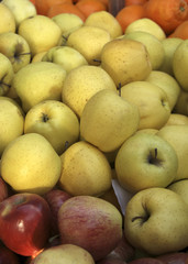 yellow apples for sale