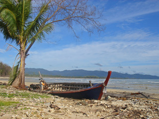 boat wreck on beach