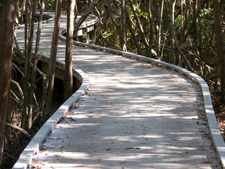 boardwalk thru paradise