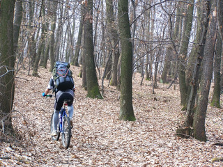 Naklejka premium biker in the woods