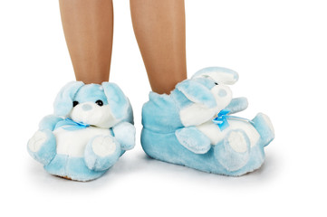 blue house slippers
