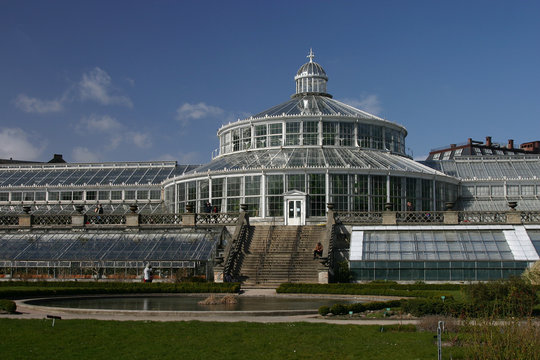 botanical garden