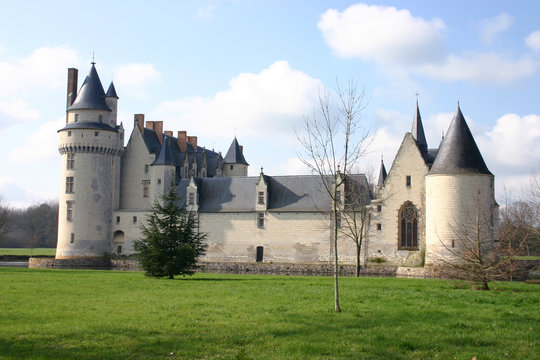 ch&acirc;teau du plessis-bourr&eacute; (3)