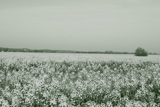 00Raps Images Browse 15 Stock Photos, Vectors, and Video Adobe Stock