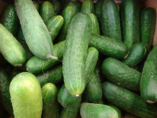 the green heap
