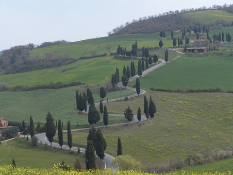 strasse in der toskana 2