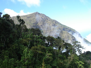 venezuelan mountain © Marta Reimpell
