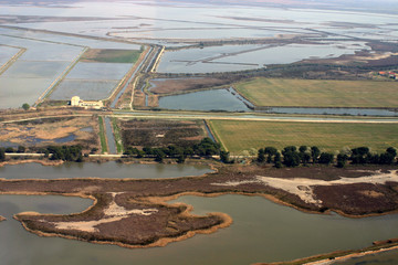 camargue