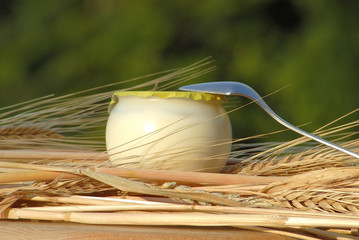 laitage et sa cuillère...