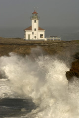 cape arago lighthouse #3