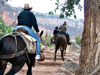 Aluminium Prints Horse riding canyon ride