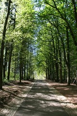 ferien