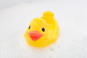 rubber duck in foam water