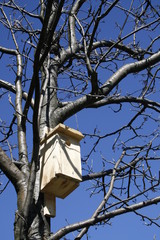 wooden birdhouse
