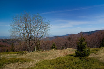 Obraz premium beskidy - polish mountain