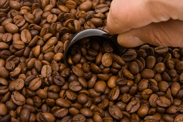 roasted grains of fragrant black coffee