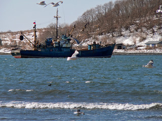 gulls, weaves and ship 5