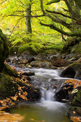 flowing stream