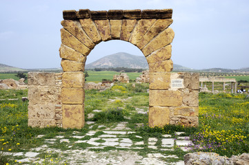 temple of caelestis