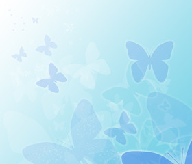 migration of blue butterflies