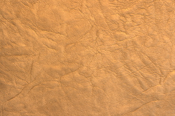 leather close up