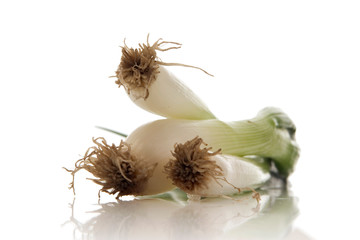 spring onion