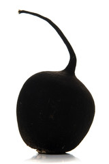 black radish