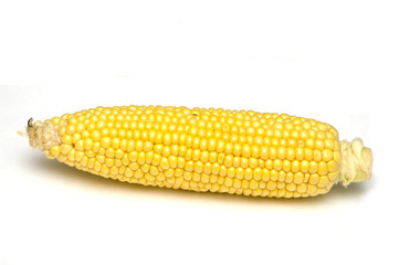 corn
