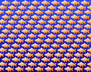 Fototapeta premium fish wallpaper