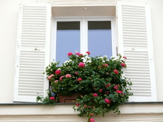 Fototapeta na wymiar fenêtre fleurie rose et blanc.