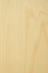 woodden texture - maple