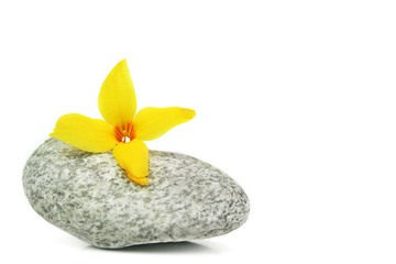 flower stone