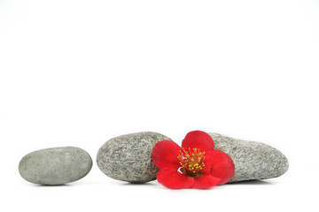 flower stone