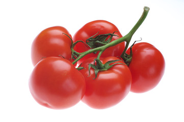 tomatoes