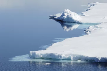 Foto auf Alu-Dibond polare Gewässer © staphy