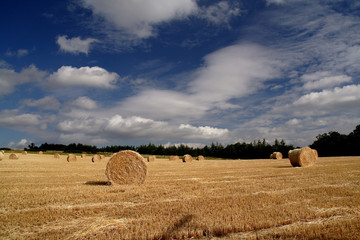 after the harvest