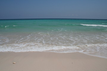 Socotra Seascape