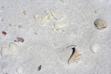 beach abstract