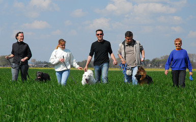 promenade de chiens © cynoclub