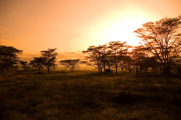 Fototapeta na wymiar african sunrise