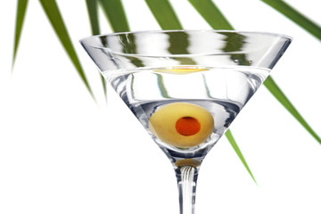 martini tropical