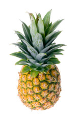 pineapple isolated