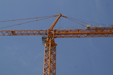 grue